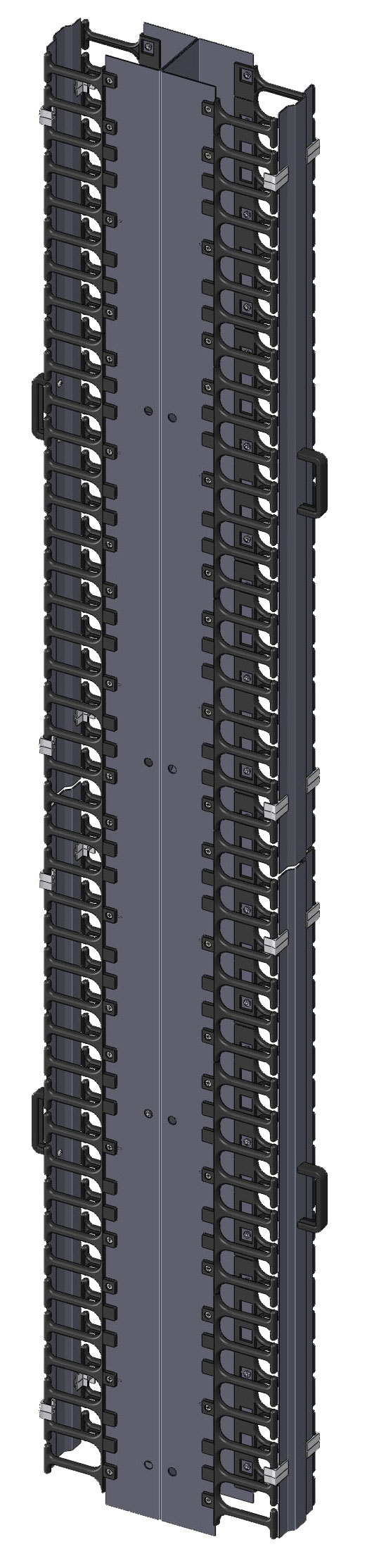 This is a picture of a 0U vertical cable management with dual covers